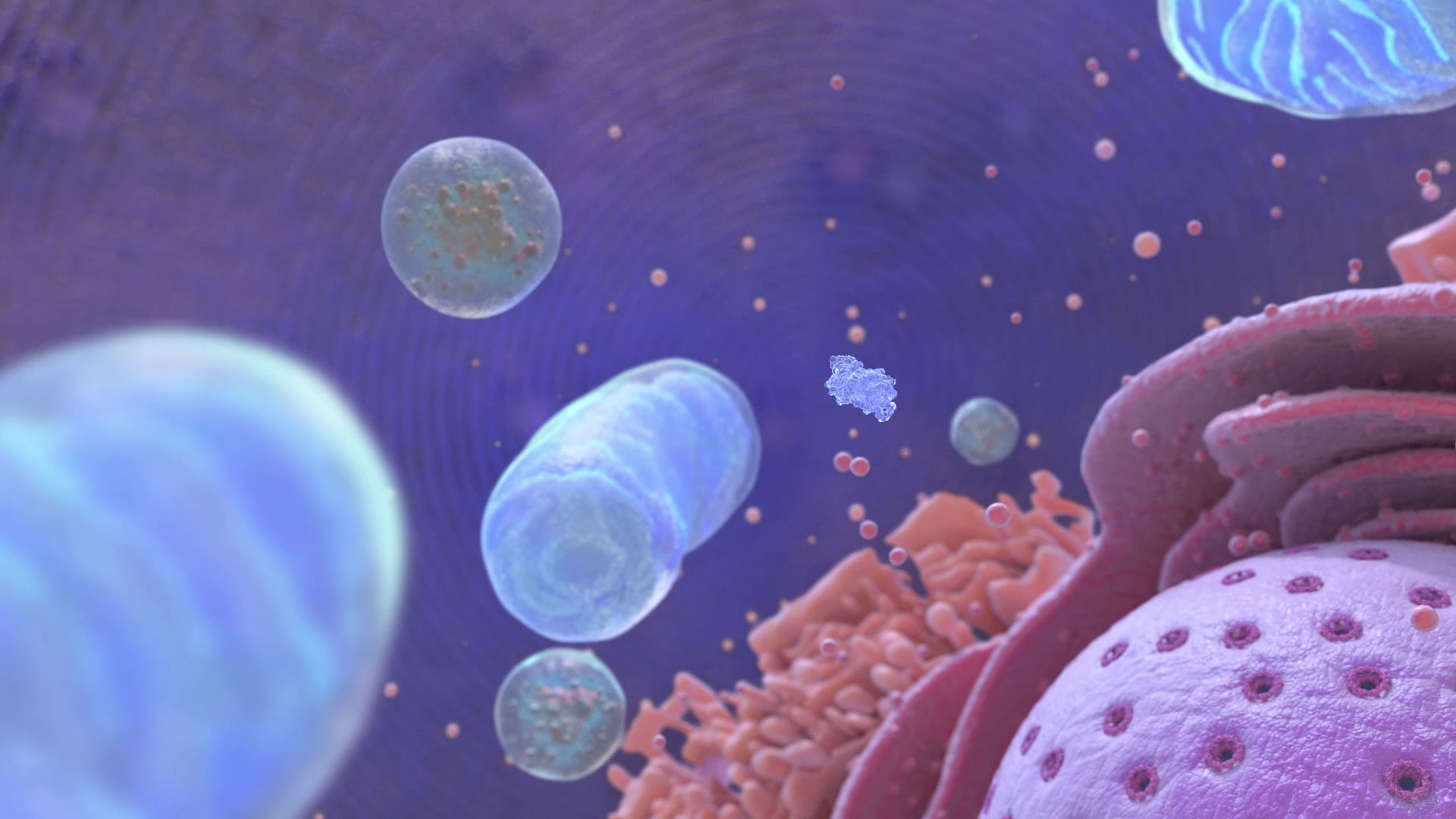 Hormonrezeptor mRNA Transkription - Eigenproduktion